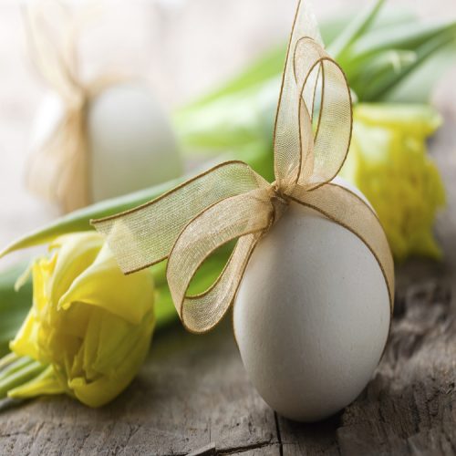 White easter eggs with golden bow and tulips